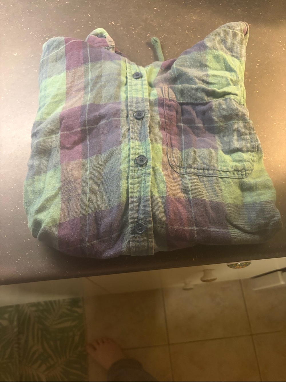 American Eagle Outfitters Green and Purple Plaid Button-Up Shirt